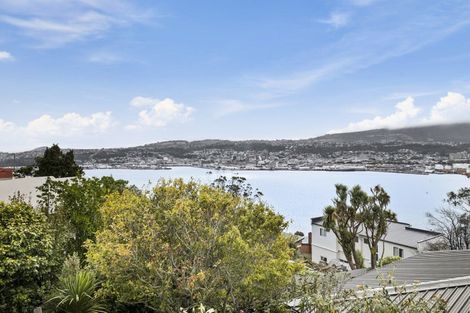 Photo of property in 10 Shandon Road, Vauxhall, Dunedin, 9013