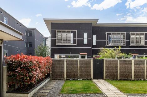 Photo of property in The Terraces, 37/9 Humber Street, Pandora, Napier, 4110