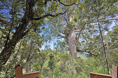 Photo of property in 144 Opanuku Road, Henderson Valley, Auckland, 0612