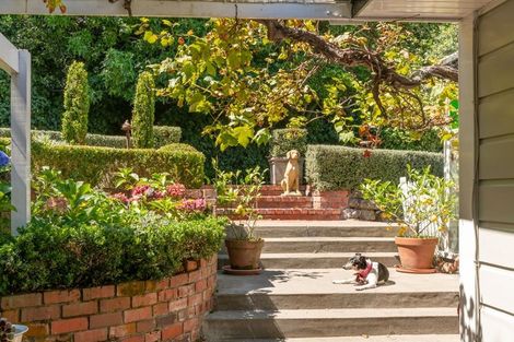 Photo of property in 117 Mein Street, Newtown, Wellington, 6021