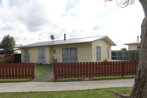 Photo of property in 10 Adkin Avenue, Levin, 5510