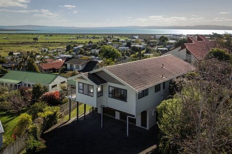 Photo of property in 224 Reservoir Road, Thames, 3500