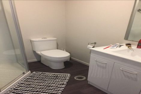 Photo of property in 2/3 Primrose Street, Frankton, Hamilton, 3204