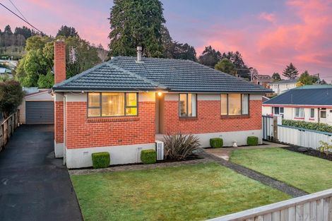 Photo of property in 458 Taieri Road, Halfway Bush, Dunedin, 9010