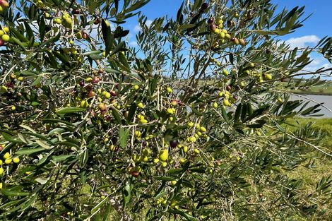 Photo of property in 228 Petley Road, Paparoa, 0571