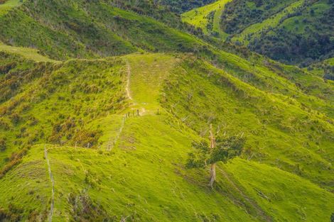 Photo of property in 987 Mangaehu Road, Puniwhakau, Stratford, 4392