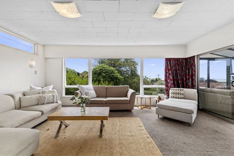 Photo of property in 120 Sunrise Avenue, Mairangi Bay, Auckland, 0630
