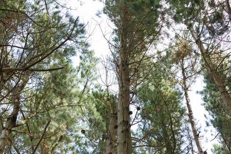 Photo of property in 57 Fitzherbert East Road, Aokautere, Palmerston North, 4471