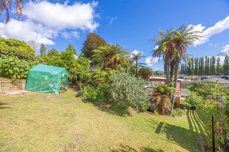 Photo of property in 14 Otewa Road, Otorohanga, 3900