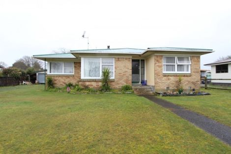 Photo of property in 17 Lauriston Street, Tokoroa, 3420