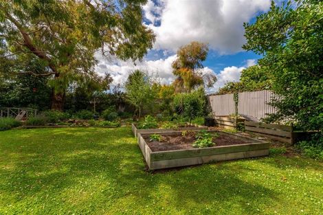 Photo of property in 89 Shearman Street, Waimate, 7924