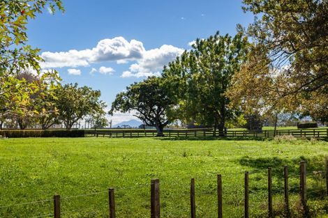 Photo of property in Taihoa Road South, Matamata, 3473