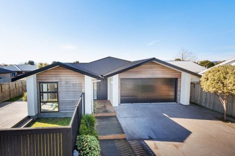 Photo of property in 39a Ward Street, Palmerston North, 4410