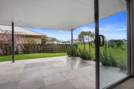 Photo of property in 20b Carisbrooke Street, Katikati, 3129