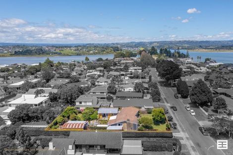 Photo of property in 68 Kings Avenue, Matua, Tauranga, 3110