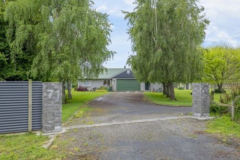 Photo of property in 71 Whelans Road, Levin, 5571