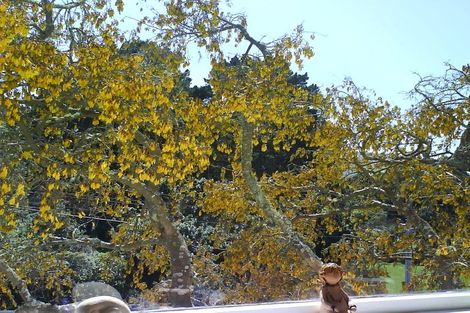 Photo of property in 57 Wilton Road, Wilton, Wellington, 6012