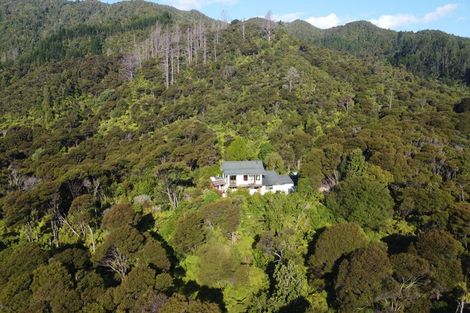 Photo of property in 800 Buffalo Road, Coromandel, 3506