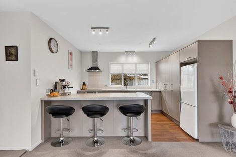 Photo of property in 17a Sumner Street, Spreydon, Christchurch, 8024