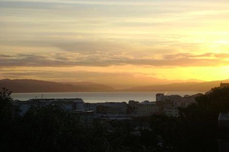 Photo of property in 53a Hankey Street, Mount Cook, Wellington, 6011