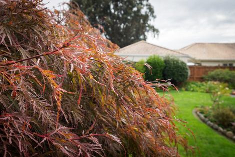 Photo of property in 14 Kingsley Street, Leamington, Cambridge, 3432