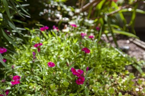 Photo of property in 5a Willow Grove, Raumati Beach, Paraparaumu, 5032