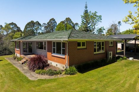 Photo of property in 62 Tuapiro Road, Tahawai, Katikati, 3170