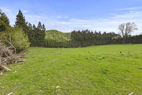 Photo of property in 24 Eagle Street, Welcome Bay, Tauranga, 3112
