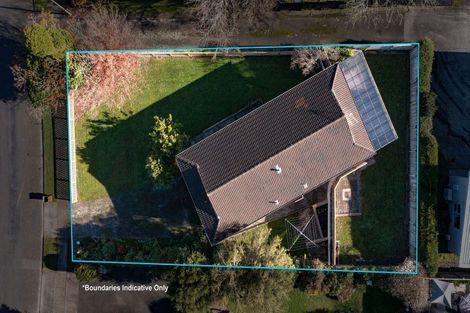 Photo of property in 81 Glen Lynne Avenue, Queenwood, Hamilton, 3210