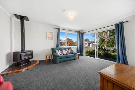 Photo of property in 32 Daniell Street, Solway, Masterton, 5810