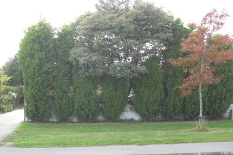 Photo of property in 30 Buchanans Road, Hei Hei, Christchurch, 8042