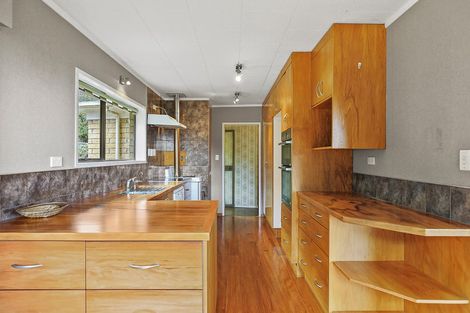 Photo of property in 911 Richmond Street, Thames, 3500