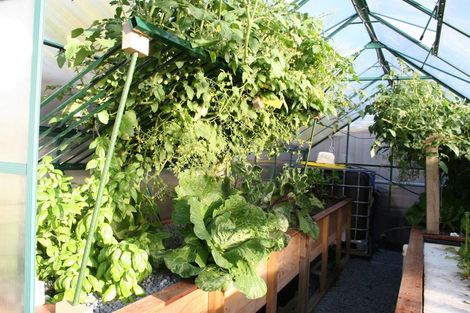 Photo of property in 52 Aquila Crescent, Rototuna North, Hamilton, 3210