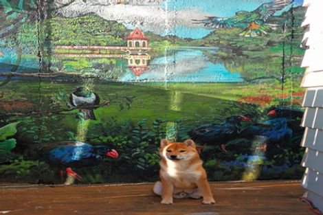 Photo of property in 34 Moana Road, Kelburn, Wellington, 6012