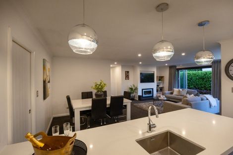 Photo of property in 115a Te Awe Awe Street, Hokowhitu, Palmerston North, 4410