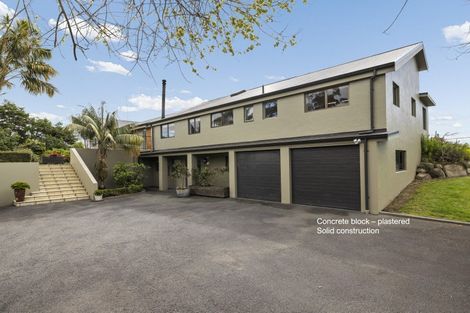 Photo of property in 293 Pahoia Road, Whakamarama, Tauranga, 3172