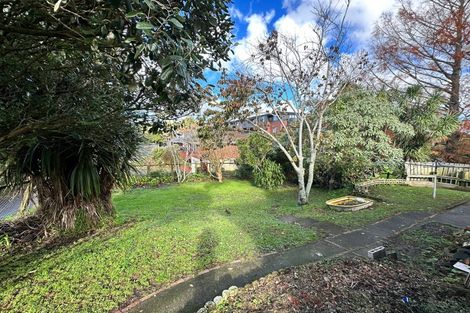 Photo of property in 43 Halver Road, Hillpark, Auckland, 2102