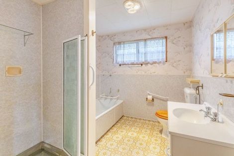 Photo of property in 14a Tutanekai Street, Waipukurau, 4200