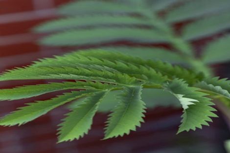 Photo of property in Liffey Village, 36/28 James Street, Lincoln, 7608