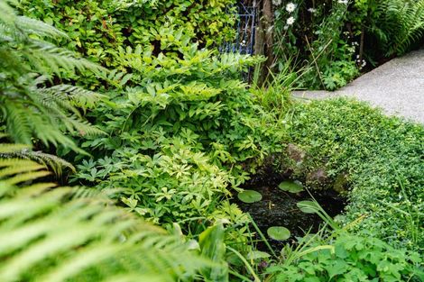 Photo of property in 61 Cannington Road, Maori Hill, Dunedin, 9010