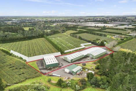 Photo of property in 288a No 3 Road, Te Puke, 3183