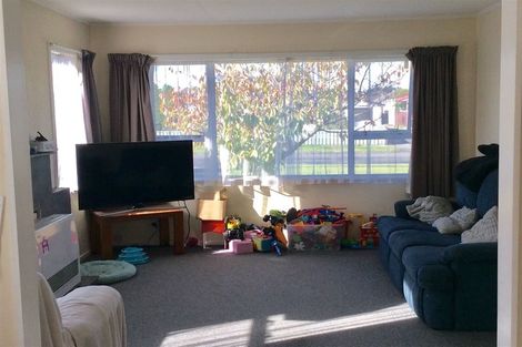 Photo of property in 14 Edinburgh Street, Feilding, 4702