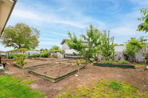 Photo of property in 7 Campbell Street, Geraldine, 7930