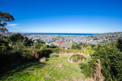 Photo of property in 135 Forfar Street, Clyde Hill, Dunedin, 9011