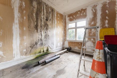 Photo of property in 63 Mailer Street, Mornington, Dunedin, 9011
