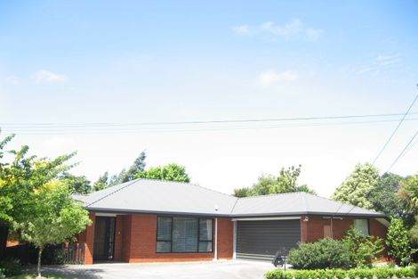Photo of property in 8 Deloraine Street, Somerfield, Christchurch, 8024