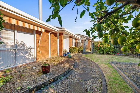 Photo of property in 5 Bayfair Drive, Mount Maunganui, 3116
