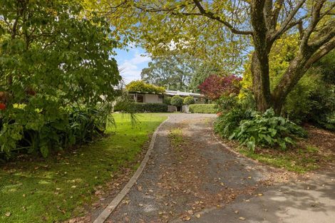 Photo of property in 405 Cambridge Road, Tauriko, Tauranga, 3110
