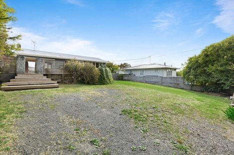 Photo of property in 44 Pine Avenue, Henderson, Auckland, 0612