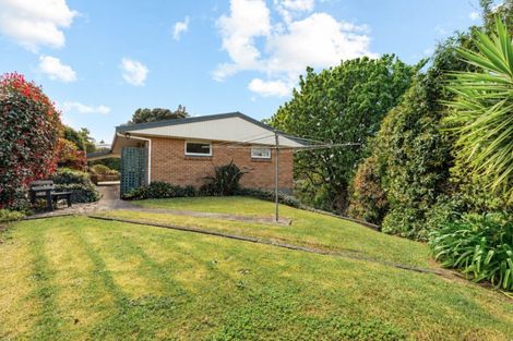 Photo of property in 53 Darraghs Road, Brookfield, Tauranga, 3110